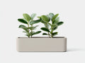 Pot à fleurs 80×30×30 cm – gris – jardinière rectangulaire pour balcon et terrasse